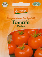 Freilandtomate Matina